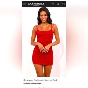 Lucy in the Sky Breakaway Bodycon in Shimmer Red Dress. Size Medium.